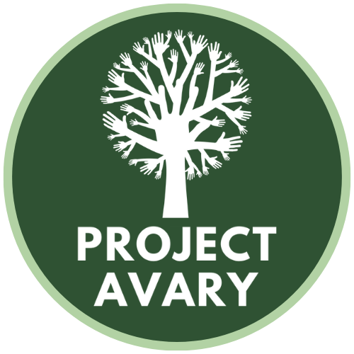 Project Avary